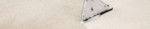 carpet-cleaning